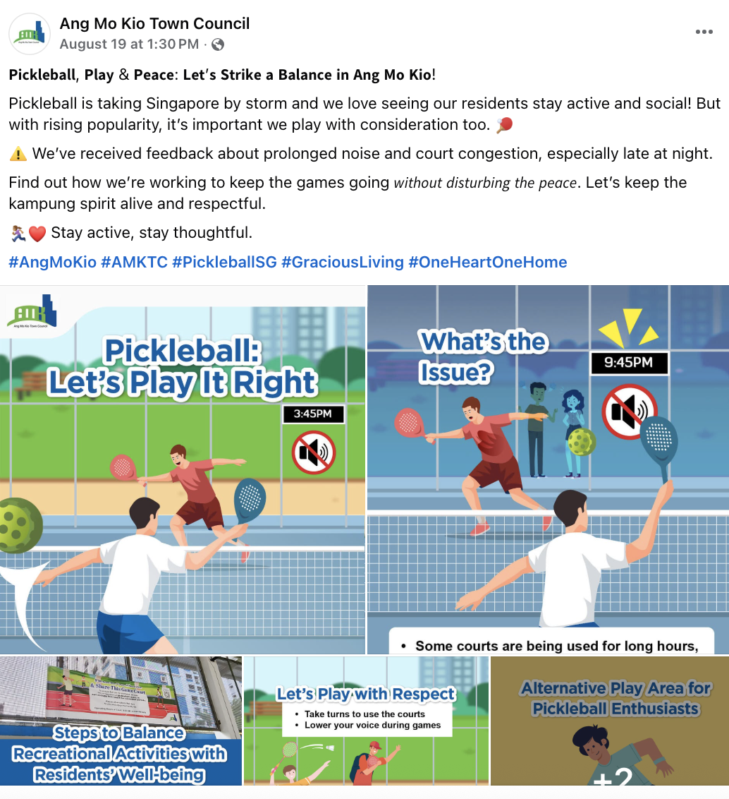 Pickleball town councils